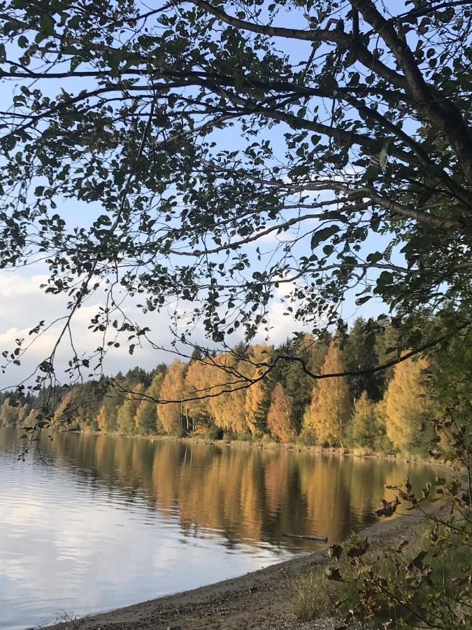 Dum Na Lipne Villa Lipno nad Vltavou Eksteriør billede