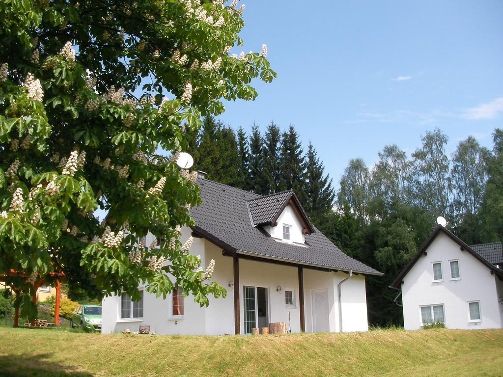 Dum Na Lipne Villa Lipno nad Vltavou Værelse billede